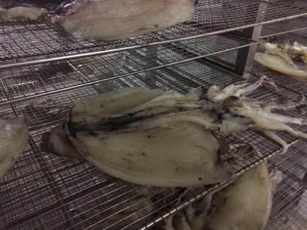 墨鱼烘干