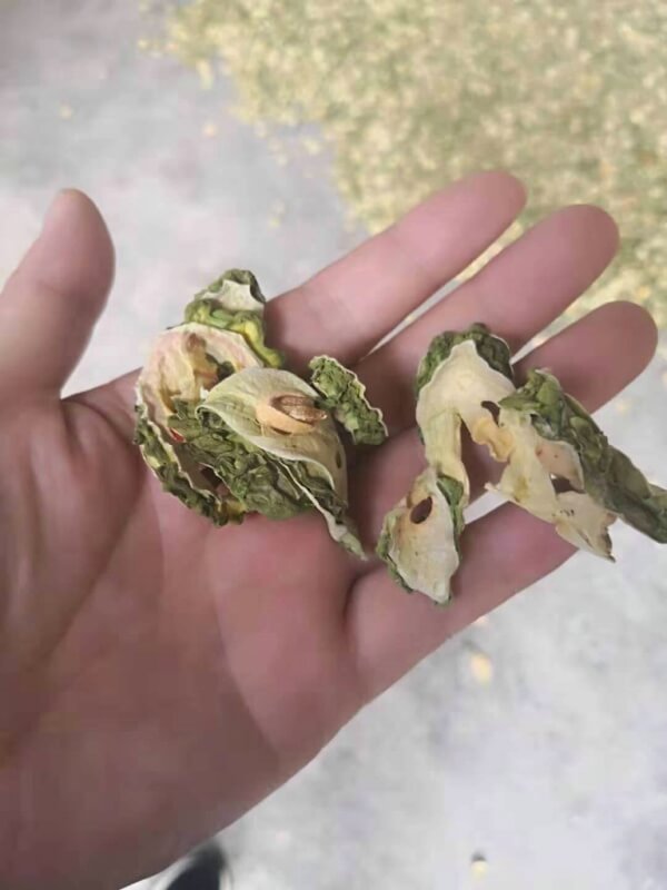苦瓜烘干成品