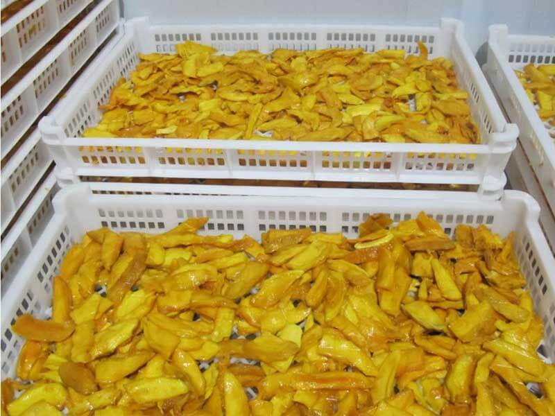 芒果烘干片