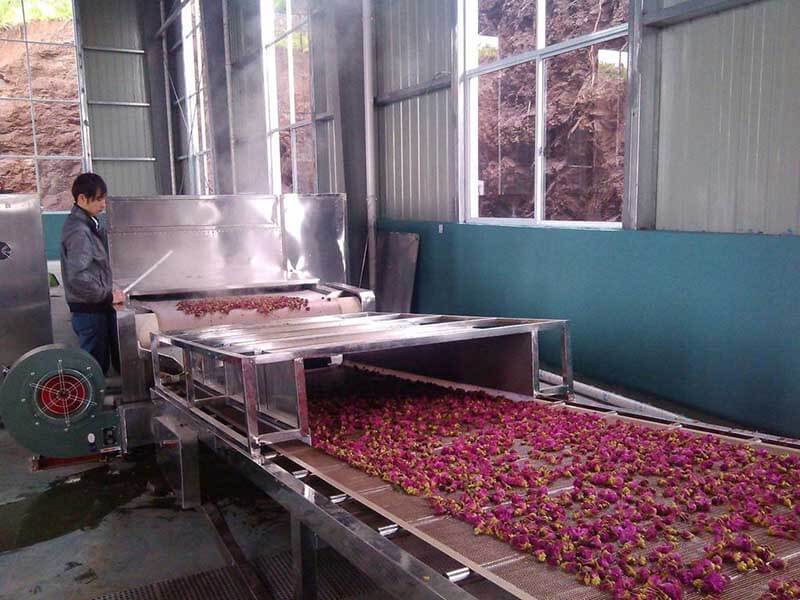 玫瑰花烘干设备