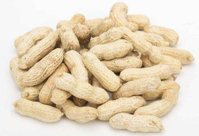 花生