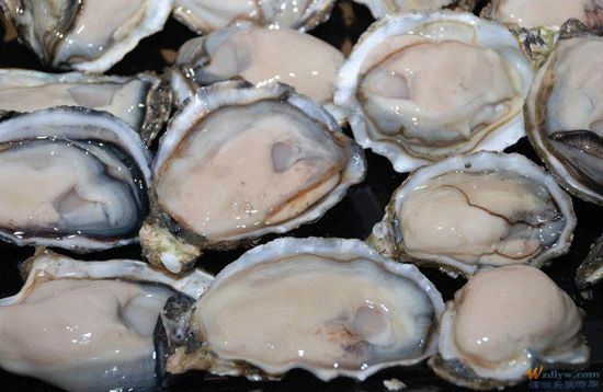 新鲜牡蛎