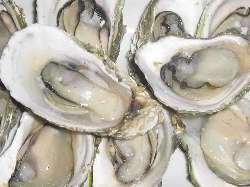 生牡蛎
